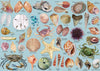 Sea Shells Puzzles For Adults 1000 Pieces, Beach Puzzle Featuring 41 Colorful Seashells, Ocean Scenes Jigsaw Puzzles Includes Se