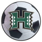 FANMATS 838 Hawaii Rainbows Soccer Ball Rug - 27in. Diameter