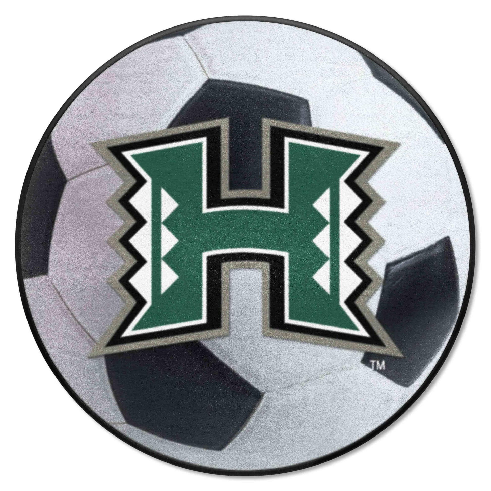 FANMATS 838 Hawaii Rainbows Soccer Ball Rug - 27in. Diameter