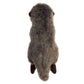 Aurora® Miyoni® Tots Baby Sea Otter Stuffed Animal, Brown, 9.5 Inches, Lifelike Detail, Model 26466, Soft Polyester