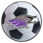 FANMATS 588 Wisconsin-Whitewater Pointers Soccer Ball Rug - 27in. Diameter