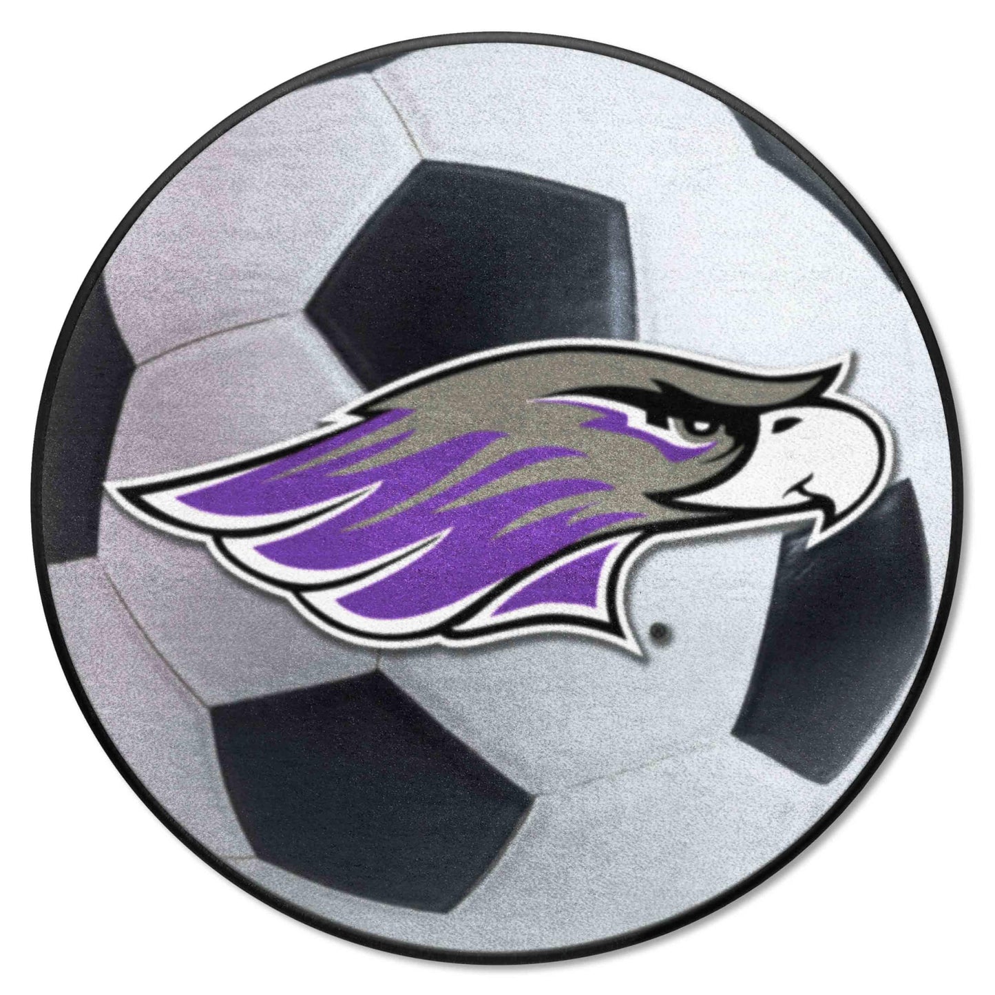FANMATS 588 Wisconsin-Whitewater Pointers Soccer Ball Rug - 27in. Diameter