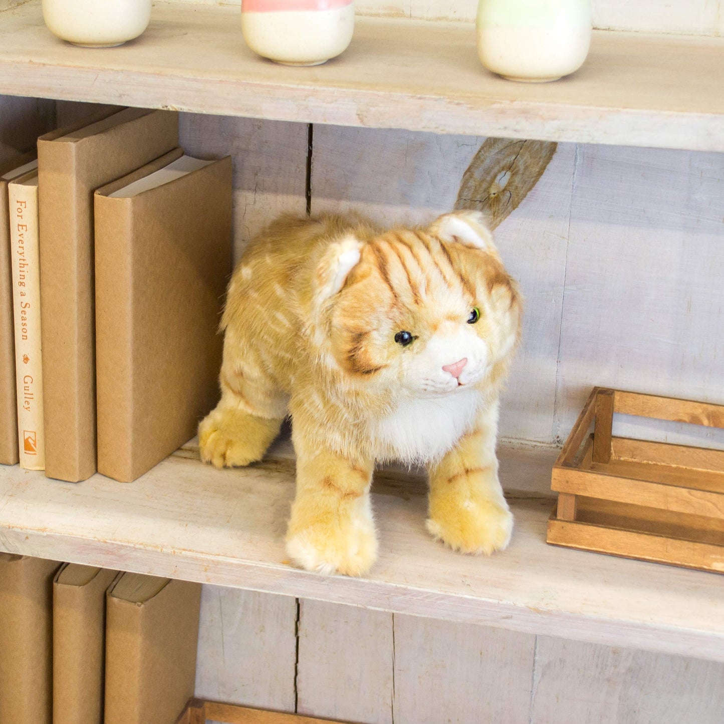 Demdaco Large Maine Coon Cat Striped Ginger Children'S Plush Stuffed Animal Toy