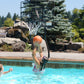 S.R. Smith Bask-Ch Pool Game, Stainless Steel