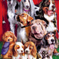 Masterpieces 1000 Piece Jigsaw Puzzle For Adults, Family, Or Youth - Sitting Pretty - 19.25'X26.75'