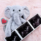 My Baby'S Heartbeat Bear Recordable Stuffed Animals 20 Sec Heart Voice Recorder For Ultrasounds And Sweet Messages Playback, Per