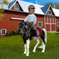 Lori – Mini Boy Doll & Toy Horse – 6-Inch Doll & Black Pinto Horse – Set With Clothes, Animal & Accessories – Playset For Kids – 3 Years + – Landon & Luna