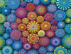 Ravensburger - Radiating Rainbow Mandalas - 2000 Piece Jigsaw Puzzle - Bold  Vivid Colors - Intricate Painted Stones in Rainbow Art - Frameable - enhanced Quality - Puzzles for mature-themeds