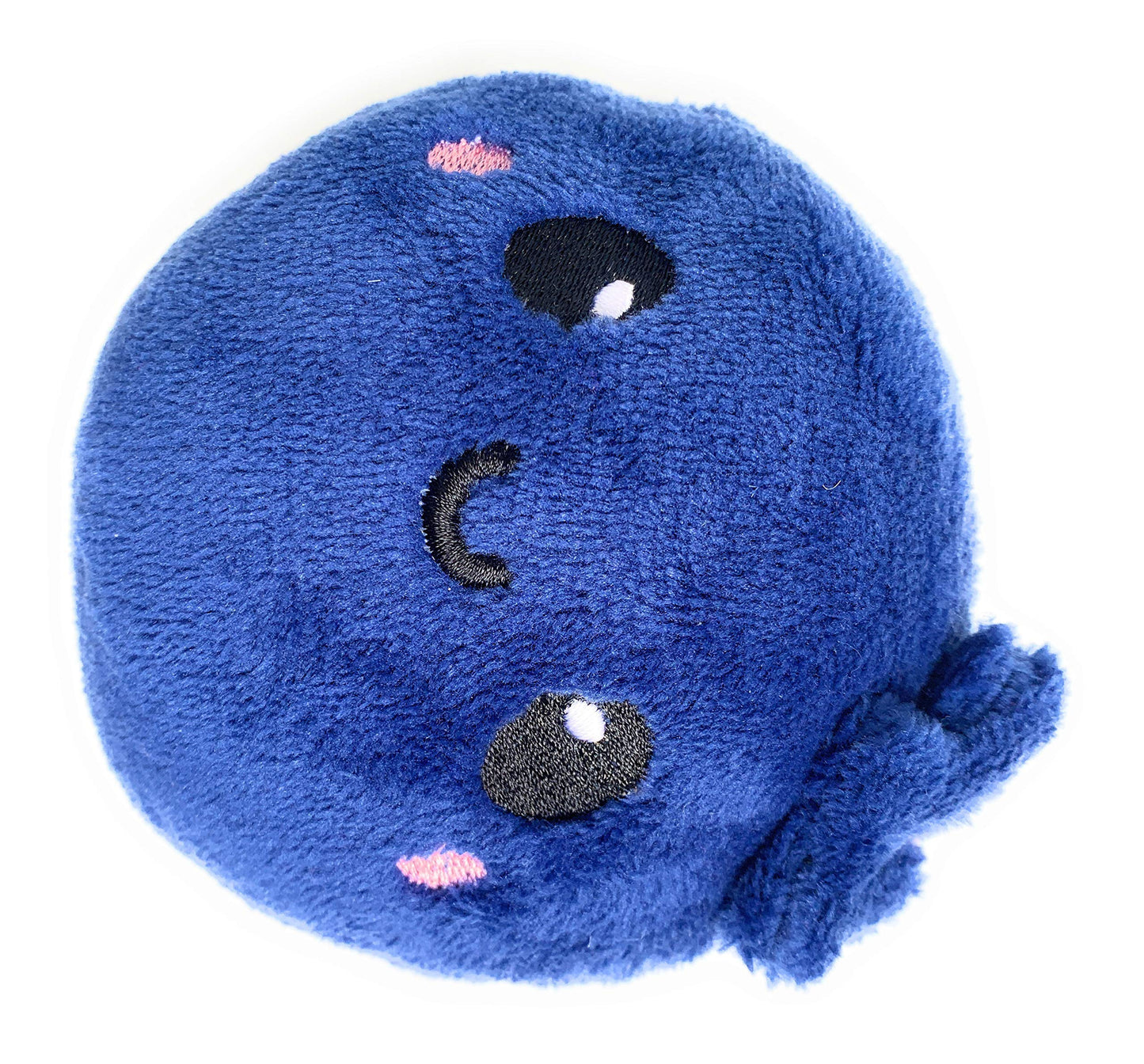 Blueberry Cute Kawaii Plush Stuffed Toy