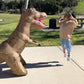 AIRTITANS Jurassic World Inflatable T Rex RC - 6 ft Long Nylon Dinosaur with Stomping & Roaring Action - Model 154231-1SOC