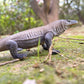 Nakimo Komodo Dragon Animal Figurine Lizard Toy Realistic Reptile Figures For Decoration, Science Education, Prank Props