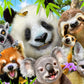 Ceaco - Selfies - Panda & Friends Selfies - 500 Piece Jigsaw Puzzle