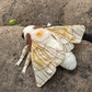 Zhongxin Made Large Silk Moth Plush Toy - Lifelike Silk Moth Stuffed Animals 16In, Realistic Soft Big Wings Moth Toys, Simulation Butterfly Plushie Model Toy, Unique Plush Collection For Kids