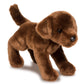 Douglas Chocolate Lab Plush Stuffed Animal, 12" Brown, Soft Plush, Model 1888