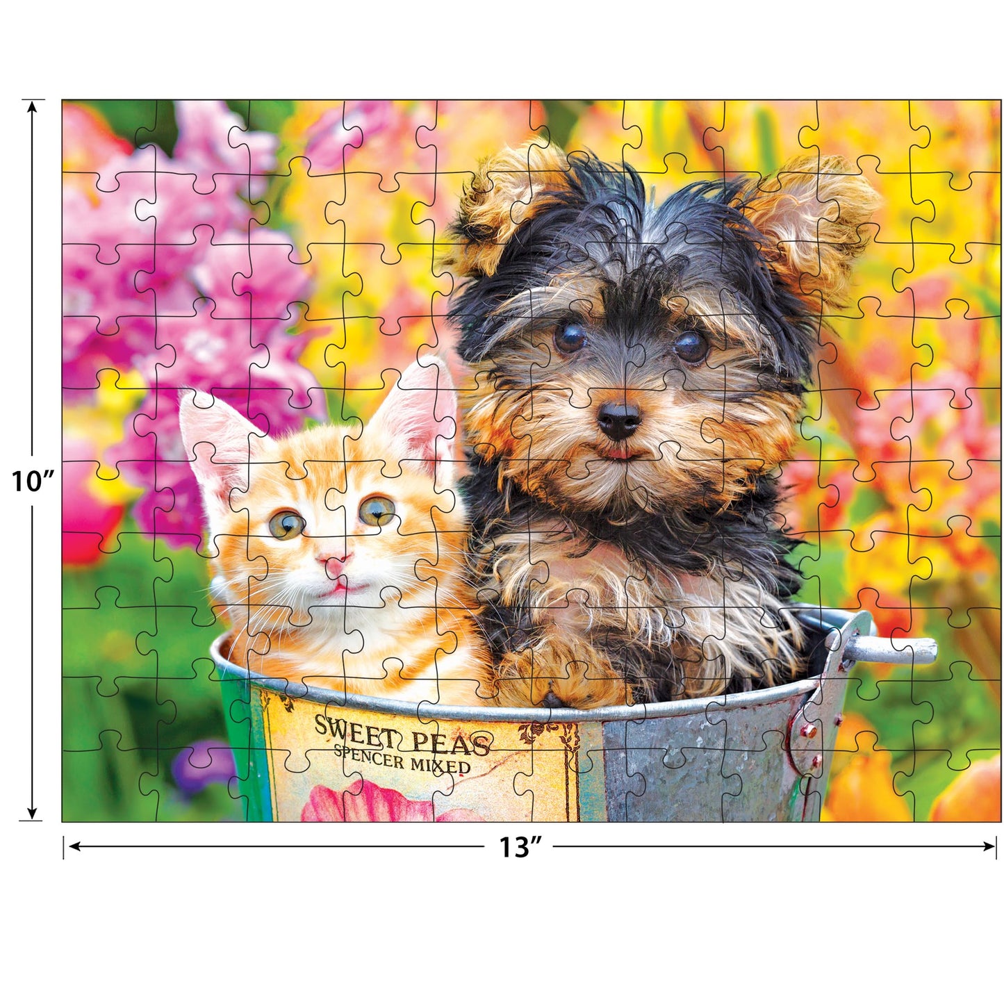 RoseArt - Kodak enhanced - Bucket Buddies - 100 Piece Jigsaw Puzzle for mature-themeds
