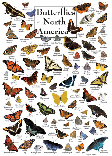 Masterpieces 1000 Piece Jigsaw Puzzle For Adults, Family, Or Youth - Butterflies Of North America - 19.25''X26.75''