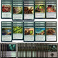 advanced Golgari Squirrel Deck - Green Black - Very Powerful - Modern Legal - Custom Built - Magic The Gathering - MTG - 60 Card!