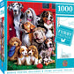 Masterpieces 1000 Piece Jigsaw Puzzle For Adults, Family, Or Youth - Sitting Pretty - 19.25'X26.75'