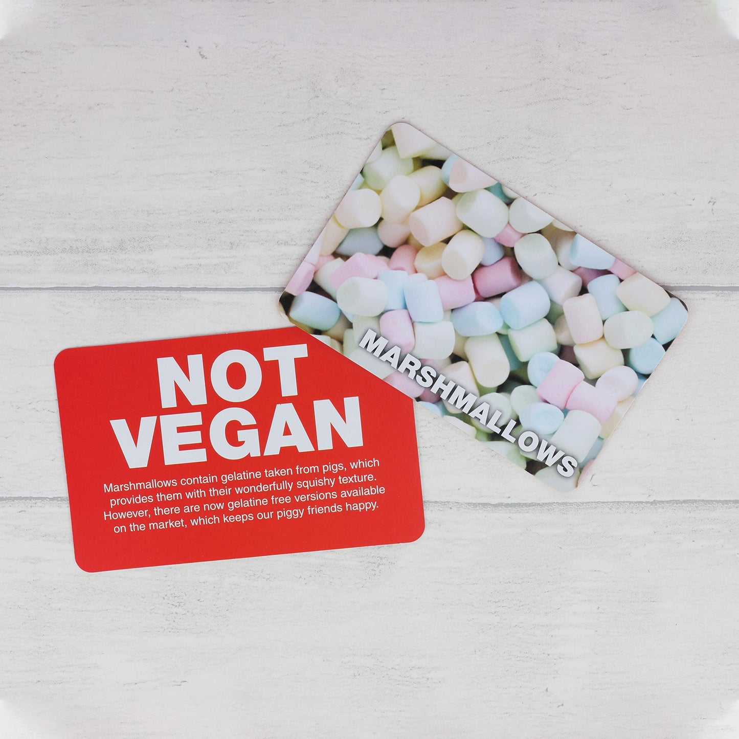 Vegan Not Vegan Game - Guess The Vegan Products Fun Flash Card Game - Fun Yes Or No Guessing Game - Suitable For Family, Kids, Teenagers & Adults