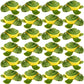 Flahard 24 Pcs 4 Inch Mini Stuffed Turtle Animals Plush Turtle Animals Turtle Party Favors Small Stuffed Turtle Keychain for Bir