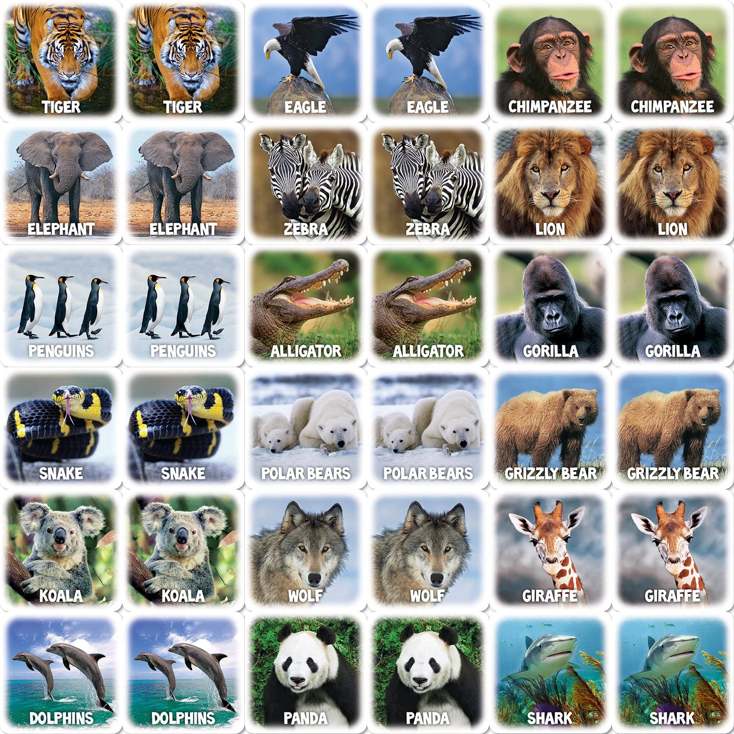 MasterPieces World of Animals Matching Game for Kids - Assorted - Model 42080 - Fun Family Game for Learning