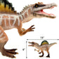 Gemini&Genius Spinosaurus Action Figure with Moveable Jaw, T-Rex Dinosaur Toy for Kids, Early Science Dino Education, Collectibl
