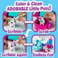 Pet Grooming Truck
