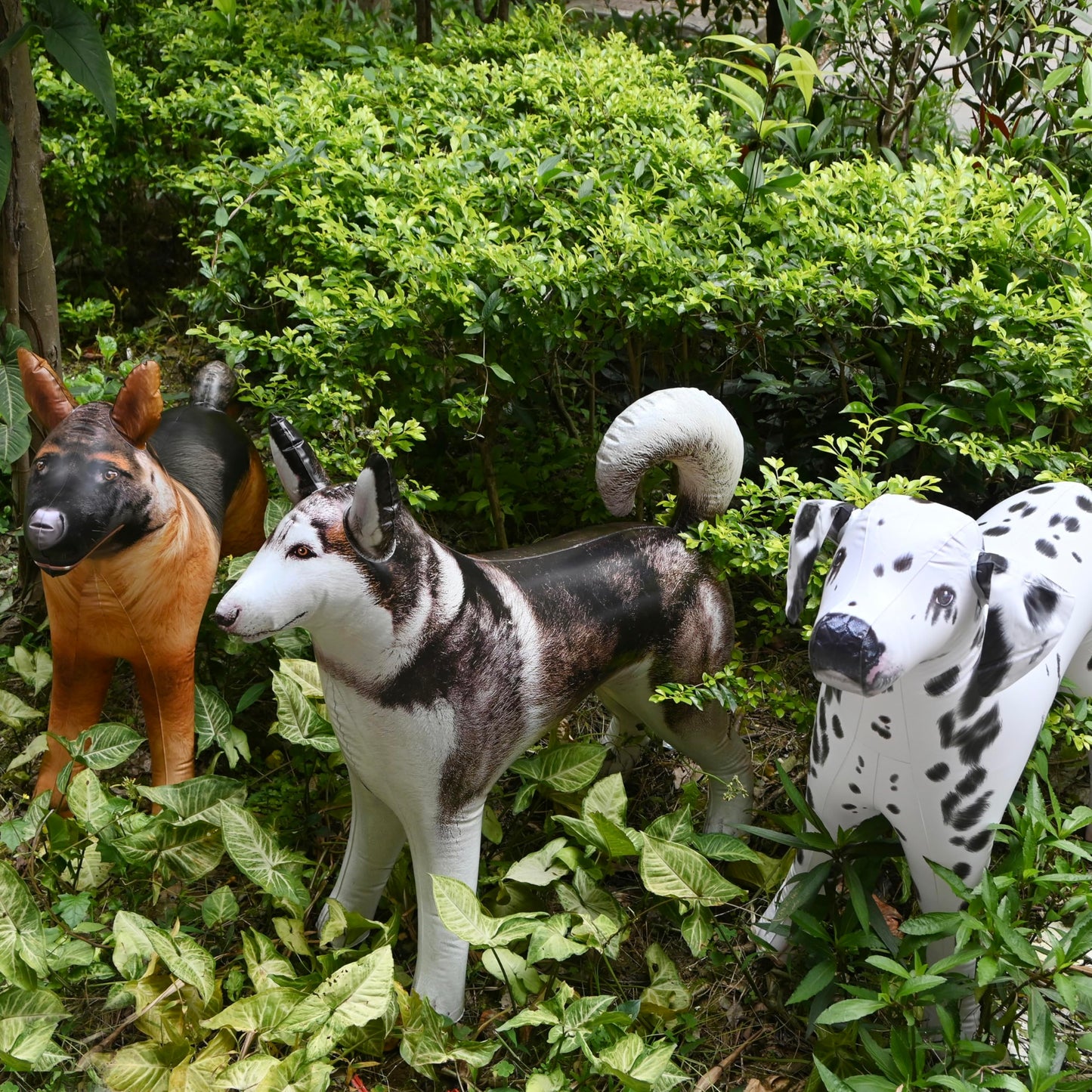 Jet Creations Inflatable Dog 3-Pack - Husky, Dalmatian & Shepherd - 30" Tall - Vinyl Halloween Decorations for Ages 3+