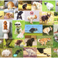 Better Me Pooping Dogs 1000-Piece Puzzle - Funny Cardboard Jigsaw for Dog Lovers, Super Poopinator 3000 Model