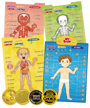 BEST LEARNING i-Poster My Body - Interactive Educational Human Anatomy Talking Game Toy | Learn Body Parts, Organs, Muscles and 