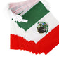 Mexico Flag Mexican Flag,100Feet/76Pcs National Country World Pennant Flags Banner,Party Decorations Supplies For,Indoor And Out