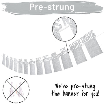 Partyhooman 1St Birthday Photo Banner For Baby From Newborn To 12 Months, First Birthday Decorations Girl Monthly Milestones Gar