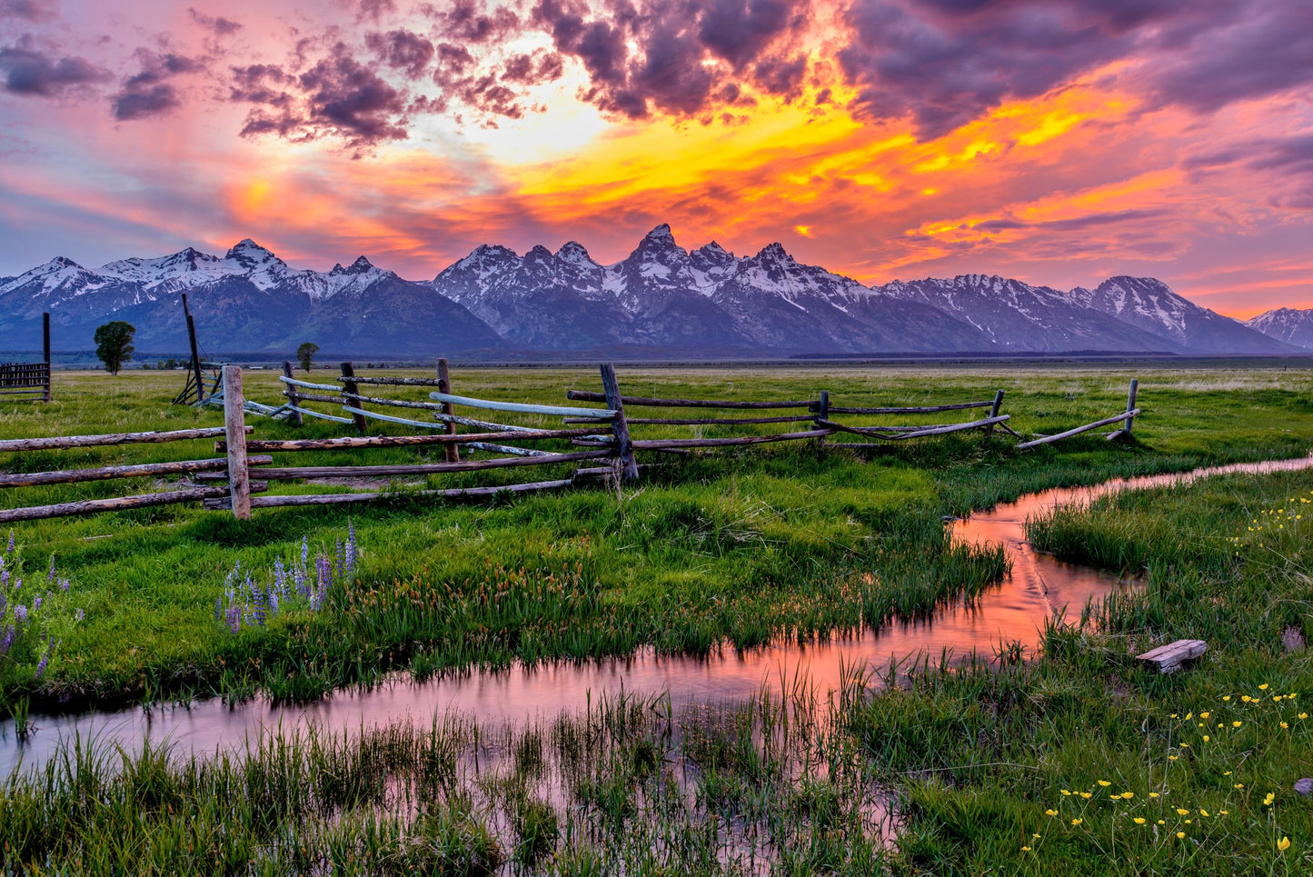 Wonderscapes - Grand Teton National Park Jigsaw Puzzle, 1000 Pieces, 27.55 X 19.68 In