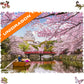 Unidragon Original Wooden Jigsaw Puzzles - Nature Sakura, 500 Pcs, King Size 16.9'X11.8', Beautiful Gift Package, Unique Shape Best Gift For Adults And Kids