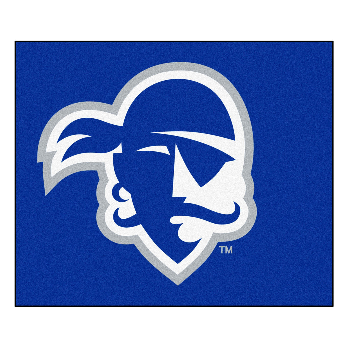 FANMATS Seton Hall Tailgater Rug 5x6