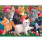 RoseArt 750 Piece Jigsaw Puzzle - Fancy Cats Kittens at Play, Multi Color, Paper, Model 1089ZZB
