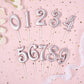 PHD CAKE 2.76 Inch Elegant Rose Gold 1 Number Birthday Candles, Rose Gold Number Candles, Cake Number Candles, Party Celebration
