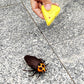 Tipmant Mini RC Cockroach Toy Remote Control Roach Insect Realistic Simulation Electric Electronic Animal for Pets Cat Dogs Todd