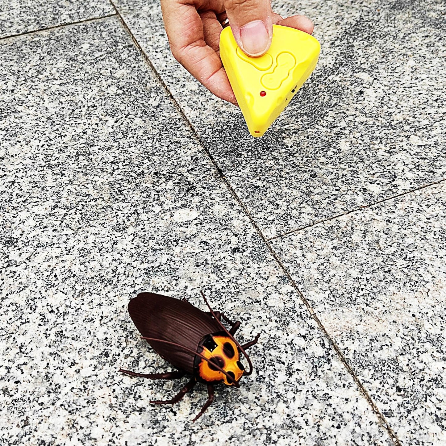 Tipmant Mini RC Cockroach Toy Remote Control Roach Insect Realistic Simulation Electric Electronic Animal for Pets Cat Dogs Todd