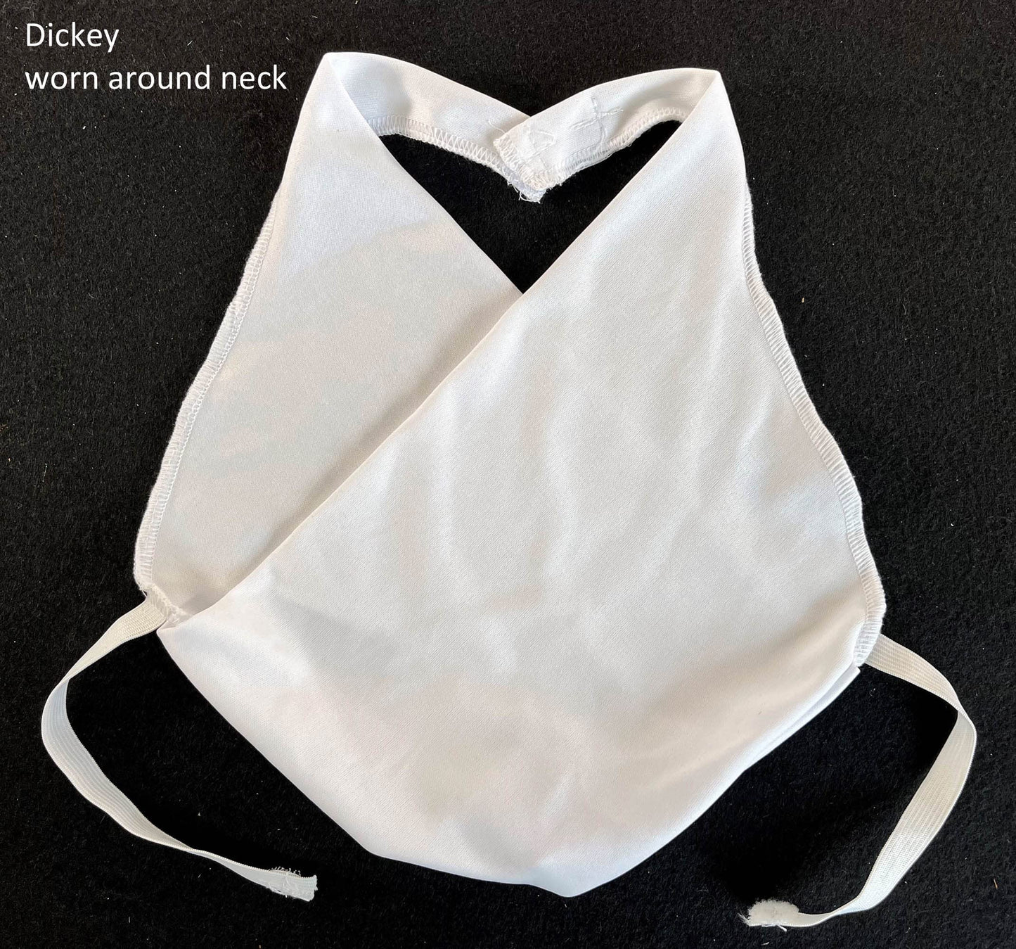 California Costumes, Sojourner Truth, Child Medium,Blue/White