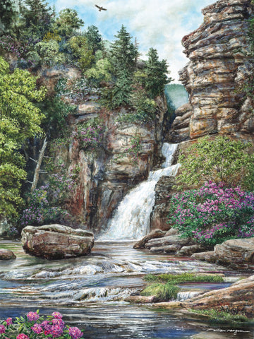 Heritage Puzzle Linville Falls, North Carolina 550 Piece Puzzle