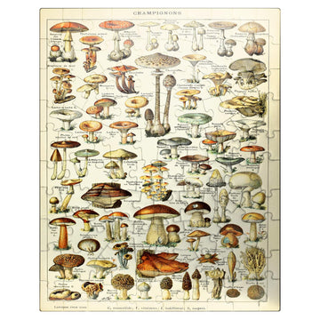 Mypuzzle Champignons - Mushrooms For All, Vintage Art Poster, Adolphe Millot - Premium 100 Piece Jigsaw Puzzle For Adults