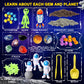 Carolart Galaxy Sensory Bin, Gemstone Dig Kit,Galaxy Excavation Gem Kit With 5 Real Gemstones For Kids,Space Planet Toys Stem Sc