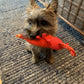 Spunky Pup Clean Earth Plush Lobster | Made From 100% Recycled Water Bottles | Small