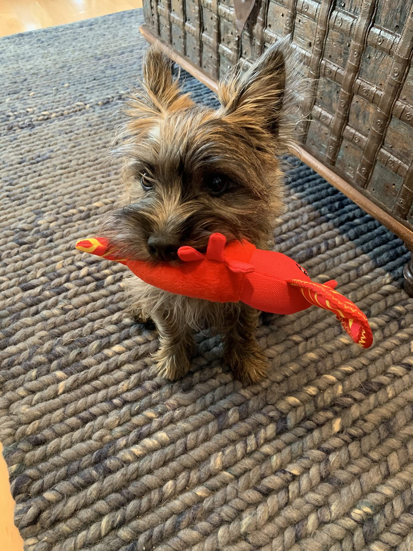 Spunky Pup Clean Earth Plush Lobster | Made From 100% Recycled Water Bottles | Small