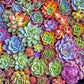 Lucky Puzzles Green Thumb Gala | 500 Piece Jigsaw Puzzle For Adults | Premium Quality | Colorful Artwork Puzzle | Brain Teasing