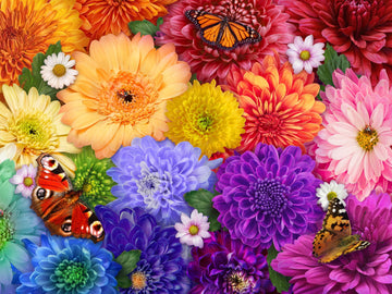 Ceaco - Flower Spectrum - 300 Oversized Piece Jigsaw Puzzle