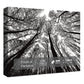 Colorful Tree Puzzles for Adults 1000 Pieces, Rainbow Tree Art Jigsaw Puzzles, Tree of Life Puzzles