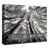 Colorful Tree Puzzles for Adults 1000 Pieces, Rainbow Tree Art Jigsaw Puzzles, Tree of Life Puzzles
