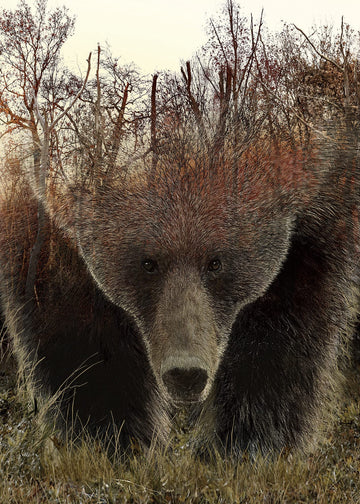 Animal Bear Jigsaw Puzzles For Adult 1000 Piece, Difficult Hard Impossible Puzzles For Adults, Nature Hunting Puzzle 1000 Piece